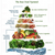 Advantages and disadvantages of raw food diet - plant based food pyramid